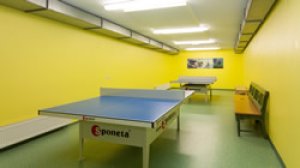 FELSERALM_PING_PONG.jpeg